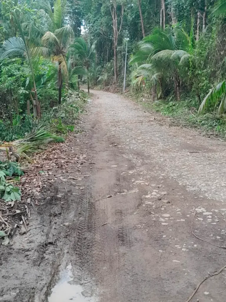 Línea eléctrica en Uvita