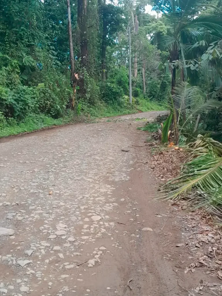 Línea eléctrica en Uvita