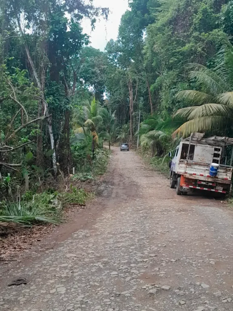 Línea eléctrica en Uvita