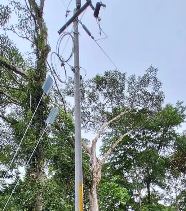 Expansión de Infraestructura Eléctrica